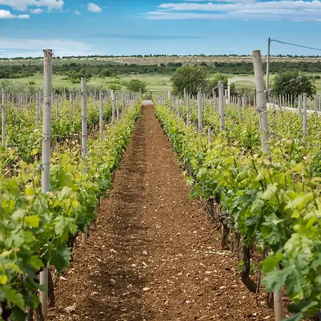 Hotel Heritage & Estate Raznjevica Dvori Ad 1307 Polaca