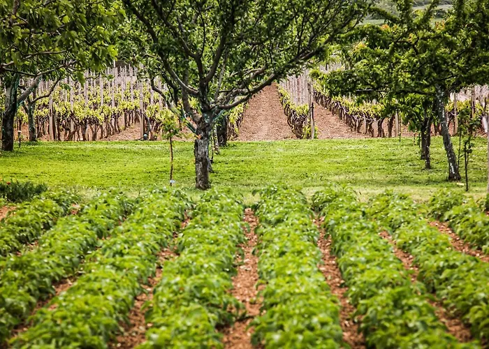 Heritage & Estate Raznjevica Dvori Ad 1307 Hotel 5*