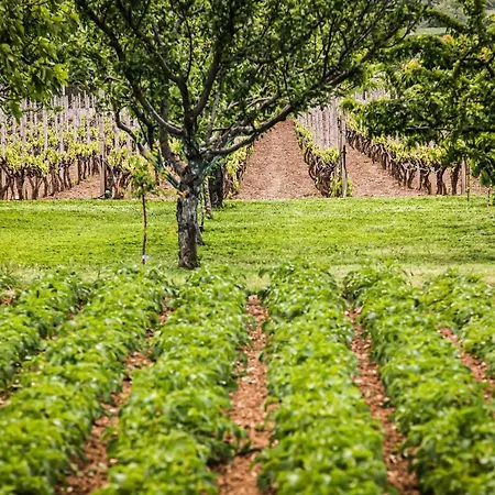 Heritage & Estate Raznjevica Dvori Ad 1307 Hotel 5*