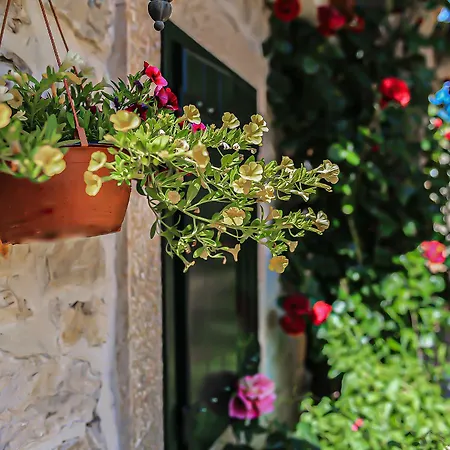 Heritage & Estate Raznjevica Dvori Ad 1307 5*