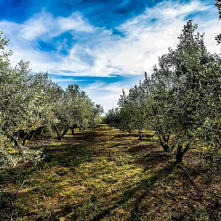 Heritage & Estate Raznjevica Dvori Ad 1307 Polaca